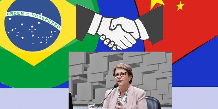 Brasil e China construíram relação de confiança, diz Ministra Tereza Cristina