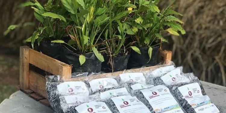 Em comemoração à Semana Nacional do Meio Ambiente Prefeitura instala pontos de troca de recicláveis por adubo e sabão