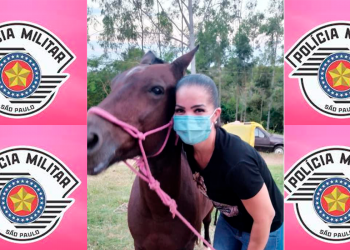Policial Militar Feminina de folga Socorre e Salva Cavalo Ferido