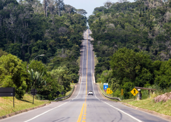 Turismo rodoviário vai crescer 55% no segundo semestre de 2021, aponta estudo.