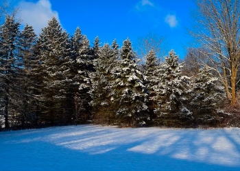 Inverno chegou às 00h32, de hoje 21.06. Previsão: hoje de manhã nublado com garoa, abertura de sol à tarde.