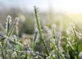 Semana de baixas temperaturas entre 28 de junho a 02 de julho