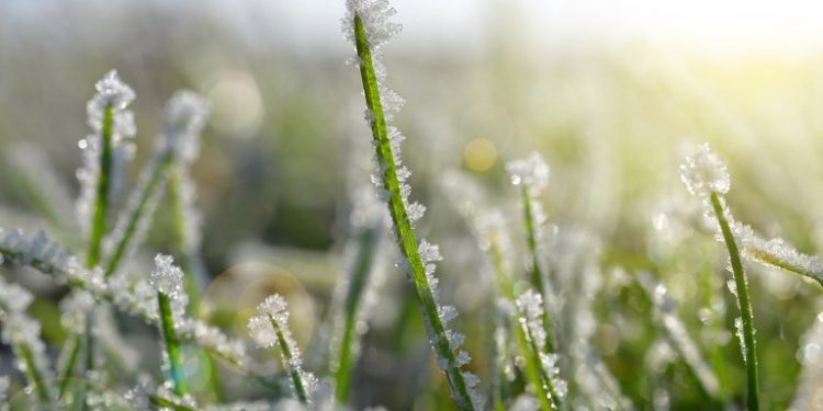 Semana de baixas temperaturas entre 28 de junho a 02 de julho
