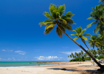 Retomada: Viagens domésticas são prioridade para 81% dos turistas brasileiros