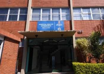 Prefeitura de São Paulo mantém atendimento gratuito em hospitais veterinários