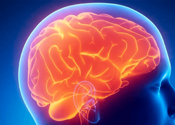 Metrô SP realiza ação para o Dia Mundial do Cérebro nesta quinta (22)