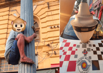 Polícia Militar faz flagrante de furto de luminária no Centro Histórico de SP