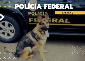 PF prende homem que transportava 870 kg de cocaína