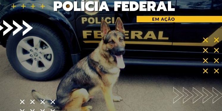 PF prende homem que transportava 870 kg de cocaína
