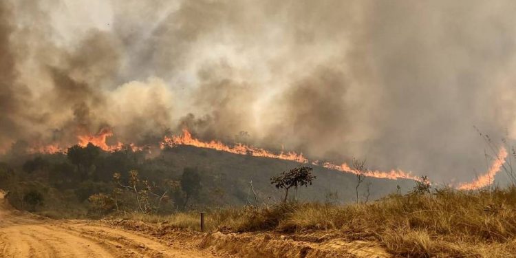 Governo de SP faz apelo para que população não solte balões