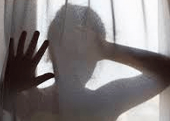 15 Anos da Lei Maria da Penha: dignidade e proteção à mulher vítima de violência doméstica e familiar