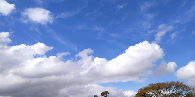 Dia de Sol e seco em SP. Sábado alcança os 30ºc