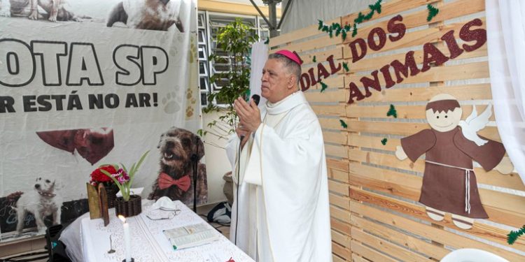 Capital comemora Dia Mundial dos Animais com semana de incentivo à adoção e cuidados