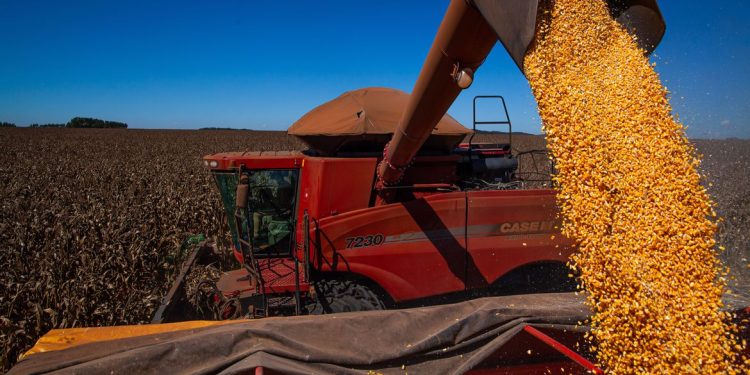 Boa notícia: Balança comercial tem superávit de US$ 1,102 bi no início de outubro