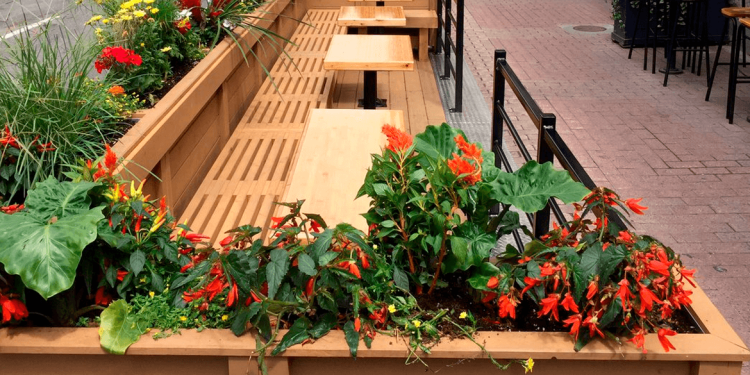 Ruas SP e Parklet são opções de lazer ao ar livre para a população