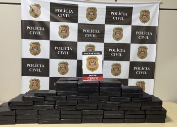 Polícia Civil realiza apreensão de drogas e prisão na Capital