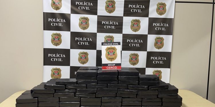Polícia Civil realiza apreensão de drogas e prisão na Capital