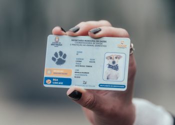 Prefeitura amplia políticas públicas para animais com RGA eletrônico