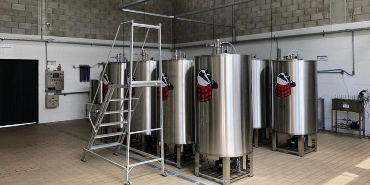 Cervejarias artesanais estão em crescimento, segundo pesquisa Sebrae