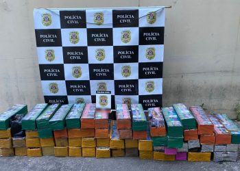 Polícia Civil apreende  37 mídias digitais falsificadas no Centro de SP