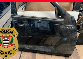 Deic-Divecar desencadeia ações contra desmanches ilegais na Capital e prende 3 pessoas