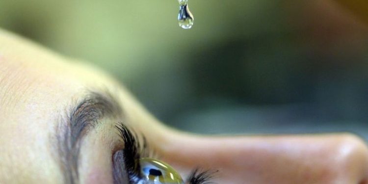 O Conselho Brasileiro de Oftalmologia (CBO) lançou um site que traz alertas sobre informações falsas que circulam na internet