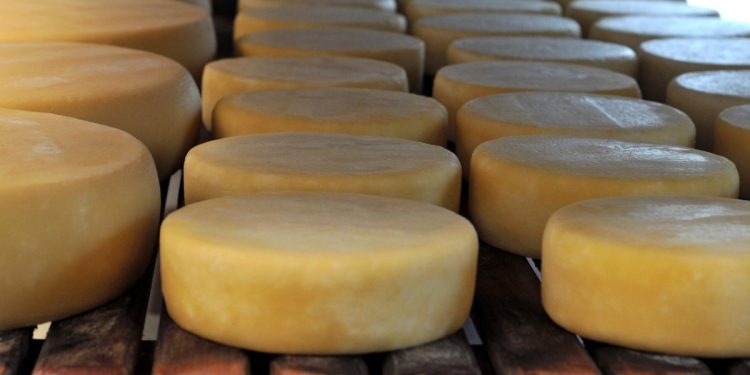 Ibrachina firma parceria com SEBRAE para fortalecimento da “Rota do Queijo da Canastra”