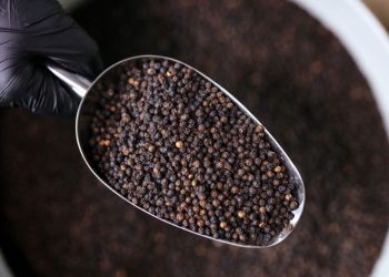 Brasil é o segundo maior fornecedor de pimenta-do-reino do mundo