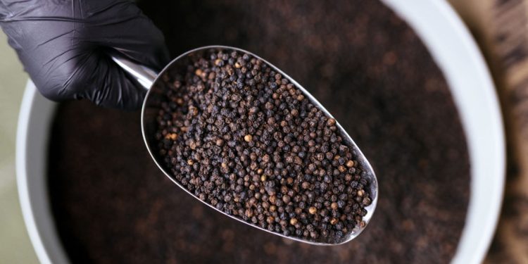 Brasil é o segundo maior fornecedor de pimenta-do-reino do mundo
