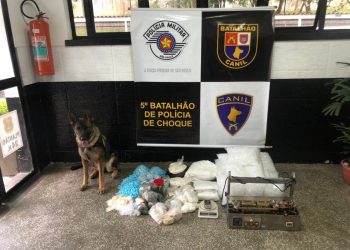 Com auxílio da cadela Aisha, PM apreende mais de 4,8 mil porções de drogas e 30 mil microtubos