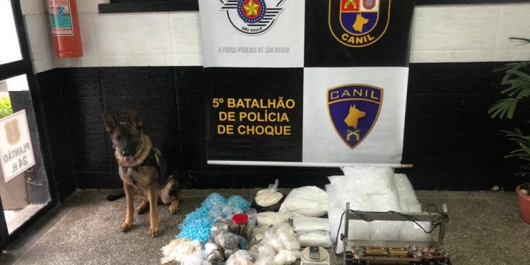 Com auxílio da cadela Aisha, PM apreende mais de 4,8 mil porções de drogas e 30 mil microtubos
