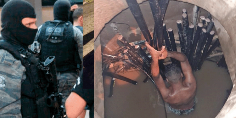 Polícia Urgente: Seis pessoas são presas após furtarem cabos de fios telefônicos avaliados em R$ 40 mil