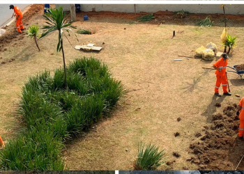 Centro de SP: Av. Tiradentes recebe a instalação de jardim de chuva