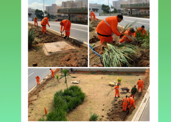 Subprefeitura da Sé: Trabalhando a todo vapor no novo jardim de chuva na Av.Tiradentes.Centro.SP
