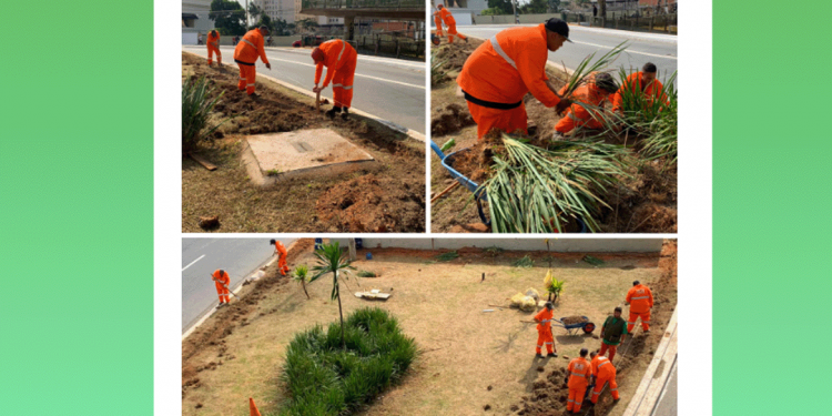 Subprefeitura da Sé: Trabalhando a todo vapor no novo jardim de chuva na Av.Tiradentes.Centro.SP