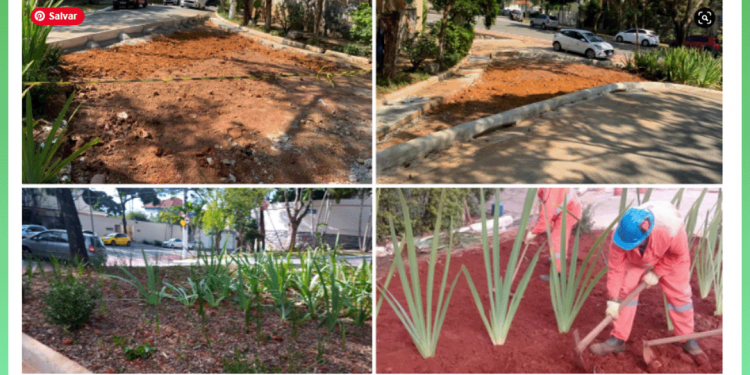 Mais um jardim de chuva é concluído no centro