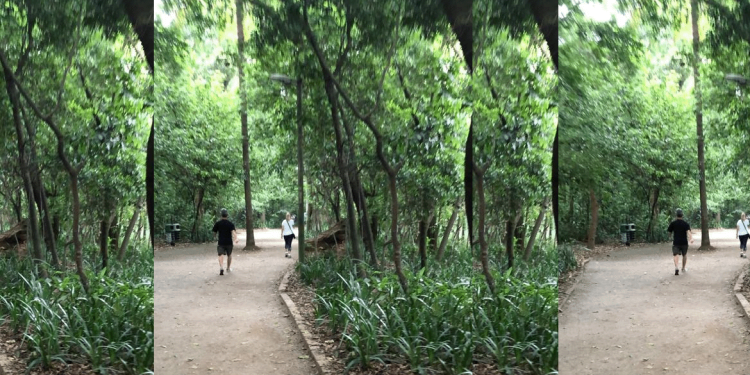 Caminhada democrática é grande aliada da saúde