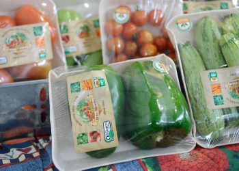 Embalagem de Alimento não terá prazo de validade.