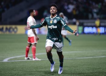19ª rodada do Brasileirão : Palmeiras conquistou mais um triunfo ao vencer o  Internacional por 2 a 1