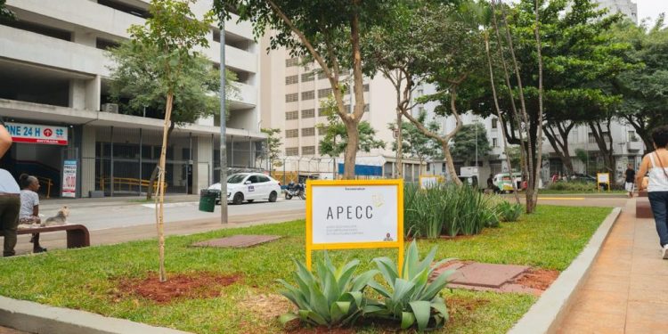 A  APECC adota a Praça Alfredo Issa, localizada no Centro Histórico de São Paulo, defronte ao “Garajão” do Deic