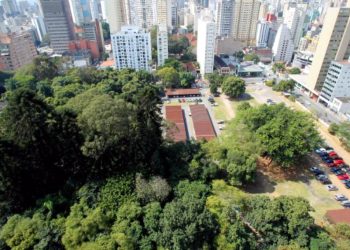 Parque Augusta, na região central da cidade, será o cenário para observação de aves na manhã deste sábado (15).