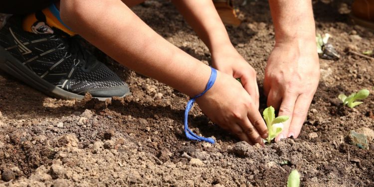 Prefeitura de SP abre vagas para mães de alunos da rede municipal