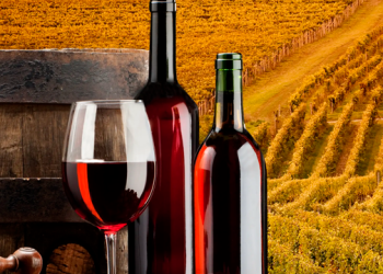 O EFEITO DO VINHO COMO CARDIOPROTETOR