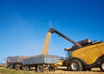 Boa Notícia: Balança comercial do agro de SP atinge superávit de US$ 1,73 bi em janeiro, alta de 20%
