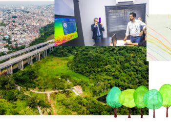 Prefeito Ricardo da aval é 11% de área verde da cidade são declarados de utilidade pública