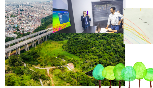 Prefeito Ricardo da aval é 11% de área verde da cidade são declarados de utilidade pública