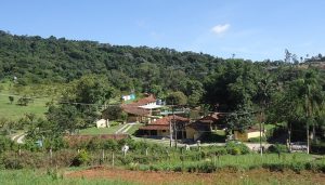 Na foto: Sítio Matsuo, em Mogi das Cruzes (SP