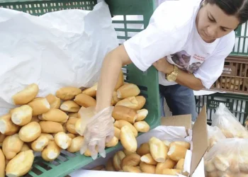 Dia Mundial do Pão: comer pão na capital é 10,2% mais caro que no interior e litoral