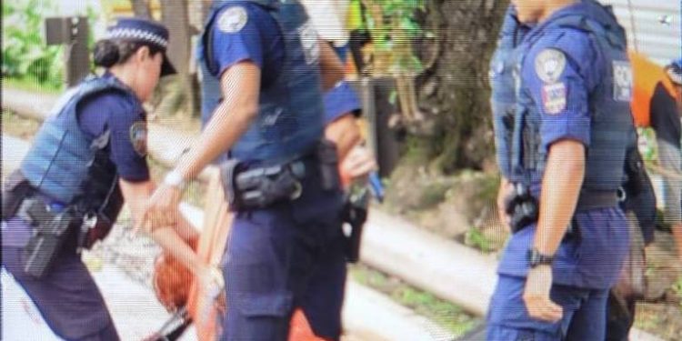 Guarda Civil usa spray de pimenta e retira à força vereadora e manifestantes em protesto contra corte de árvores em São Paulo