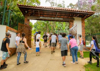 Vai de Roteiro: programa-se para descobrir São Paulo acompanhado de um guia de turismo